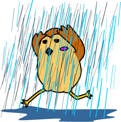 ゲリラ豪雨にやられるスズメのイラスト画像