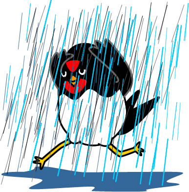 ゲリラ豪雨にやられるツバメのイラスト画像
