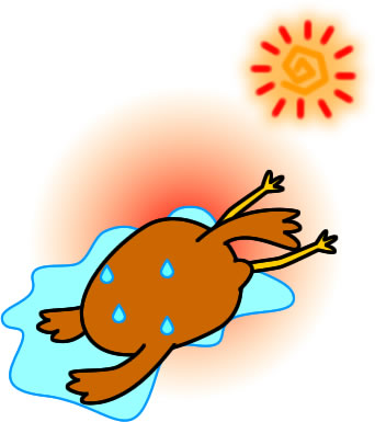 暑さで倒れるスズメのイラスト画像