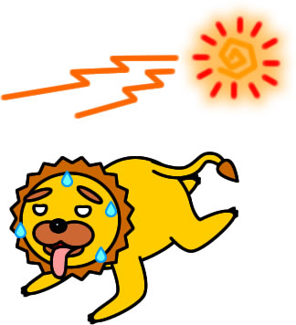 暑さに苦しむライオンのイラスト画像
