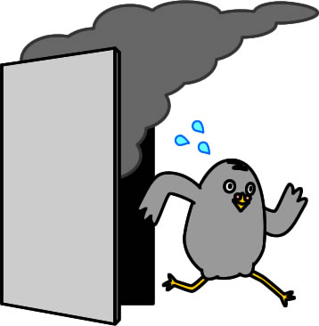 煙から逃げるハトのイラスト画像