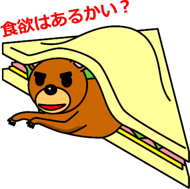 サンドイッチにはさまるクマのイラスト画像