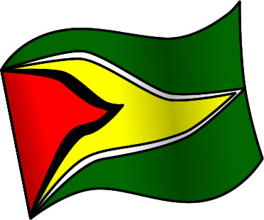 ガイアナの国旗のイラスト画像